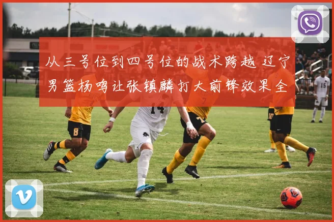 从三号位到四号位的战术跨越 辽宁男篮杨鸣让张镇麟打大前锋效果全景分析