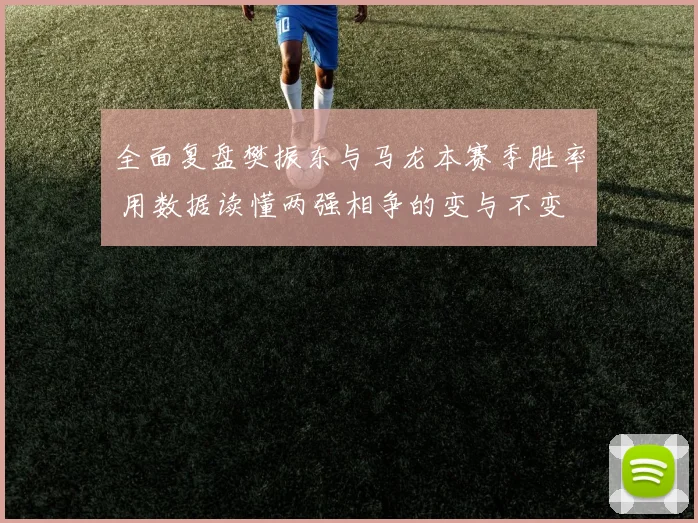 全面复盘樊振东与马龙本赛季胜率 用数据读懂两强相争的变与不变