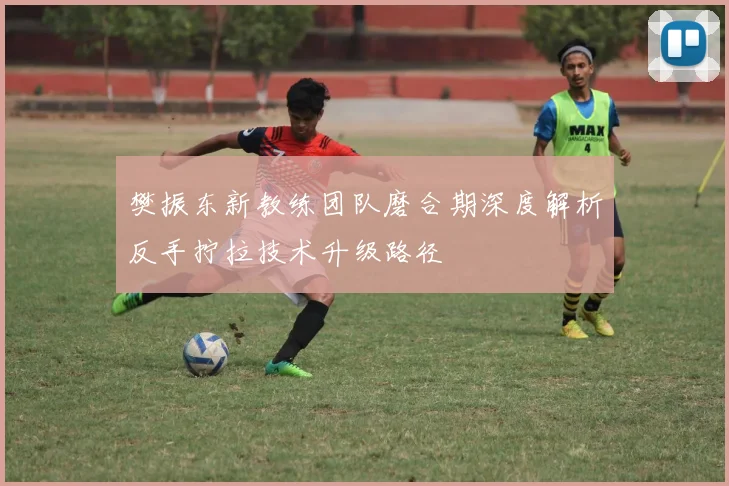 樊振东新教练团队磨合期深度解析反手拧拉技术升级路径